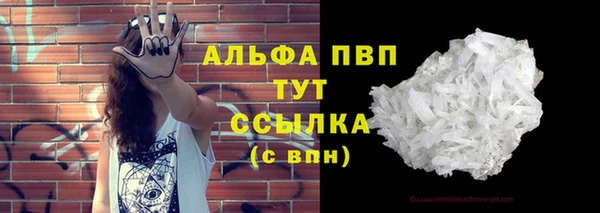 a pvp Аркадак