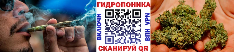 Канабис Amnesia  Сычёвка 